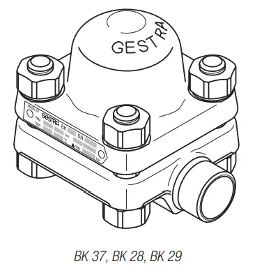 Gestra BK28-BK29-BK37 kondenstop teknik çizimi – Standart dış gövde tasarımı